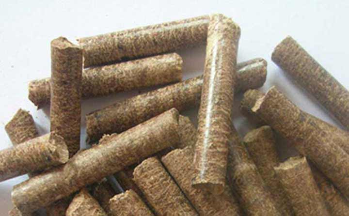 木屑顆粒機生產(chǎn)顆粒實(shí)拍
