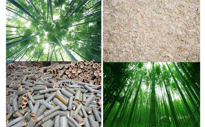 木屑顆粒機設備的發(fā)展會(huì )越來(lái)越好