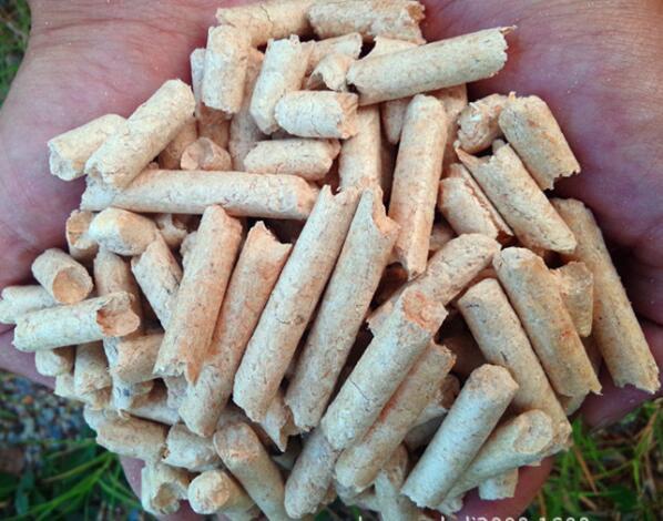 木屑顆粒機價(jià)格,木屑顆粒燃料