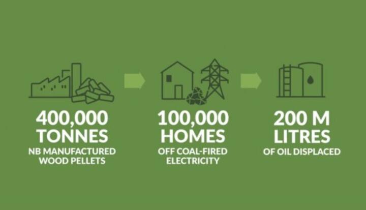 全球48%的木屑顆粒消費來(lái)自住宅和商業(yè)建筑。從2020年到2021年，歐洲家庭生物質(zhì)消費量增長(cháng)了18%，商業(yè)應用增長(cháng)了12.5%。