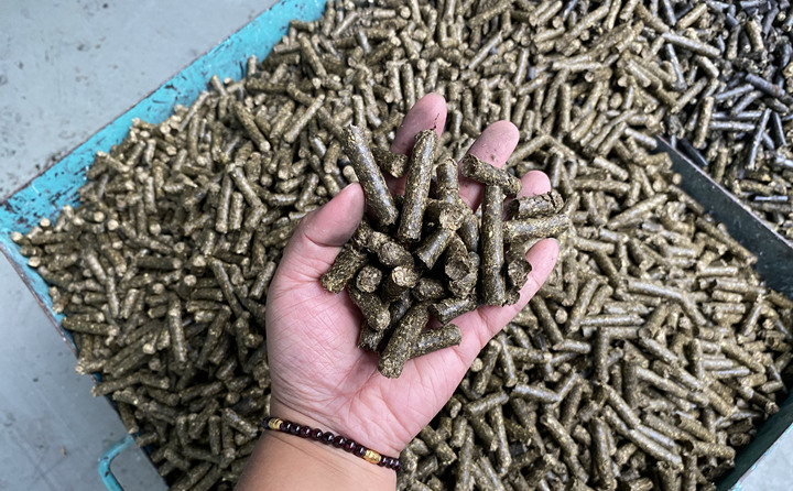 貴州省習水縣桃林鎮：燃料化利用，讓秸稈變廢為寶