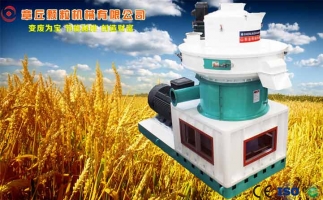 中國創(chuàng  )新提速，綠色經(jīng)濟之離心高效環(huán)模顆粒機