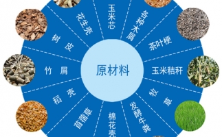 生物質(zhì)能源利用技術(shù)現狀及進(jìn)展