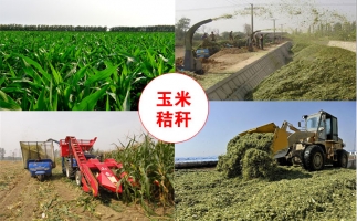 推廣秸稈顆粒機有效應對農作物秸稈處置問(wèn)題