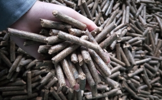 鋸末顆粒機顆粒，一種快速增長(cháng)的能源載體