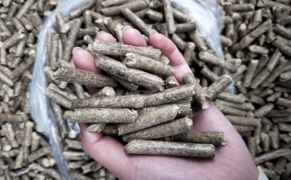 鋸末顆粒機木屑顆粒燃料市場(chǎng)前景如何？