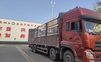 忙碌的五月，忙碌的發(fā)貨，金格瑞顆粒機生產(chǎn)線(xiàn)發(fā)往全國各地