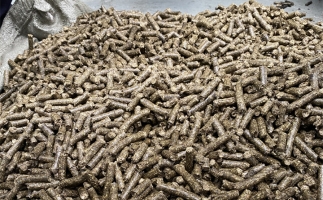 為什么很多人想了解木屑顆粒機加工的燃料顆粒作用？