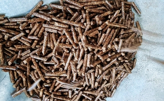 生物質(zhì)能源化利用 助力“雙碳”目標實(shí)現