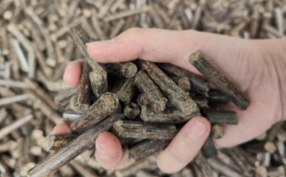 木屑燃料顆粒熱值多少大卡，完全取決于燃料的原料