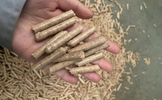 木屑顆粒機廠(chǎng)家教您如何選擇合適的生物質(zhì)顆粒燃料