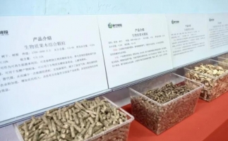 甘肅省靜寧縣仁大鎮生物質(zhì)廢棄物綜合利用項目建成投產(chǎn)