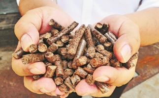 投資木屑顆粒廠(chǎng)前需要做的準備